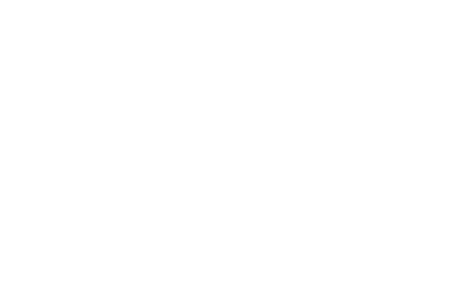 api logo